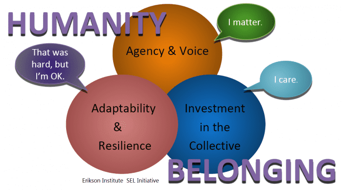 Sel Initiative Erikson Institute
