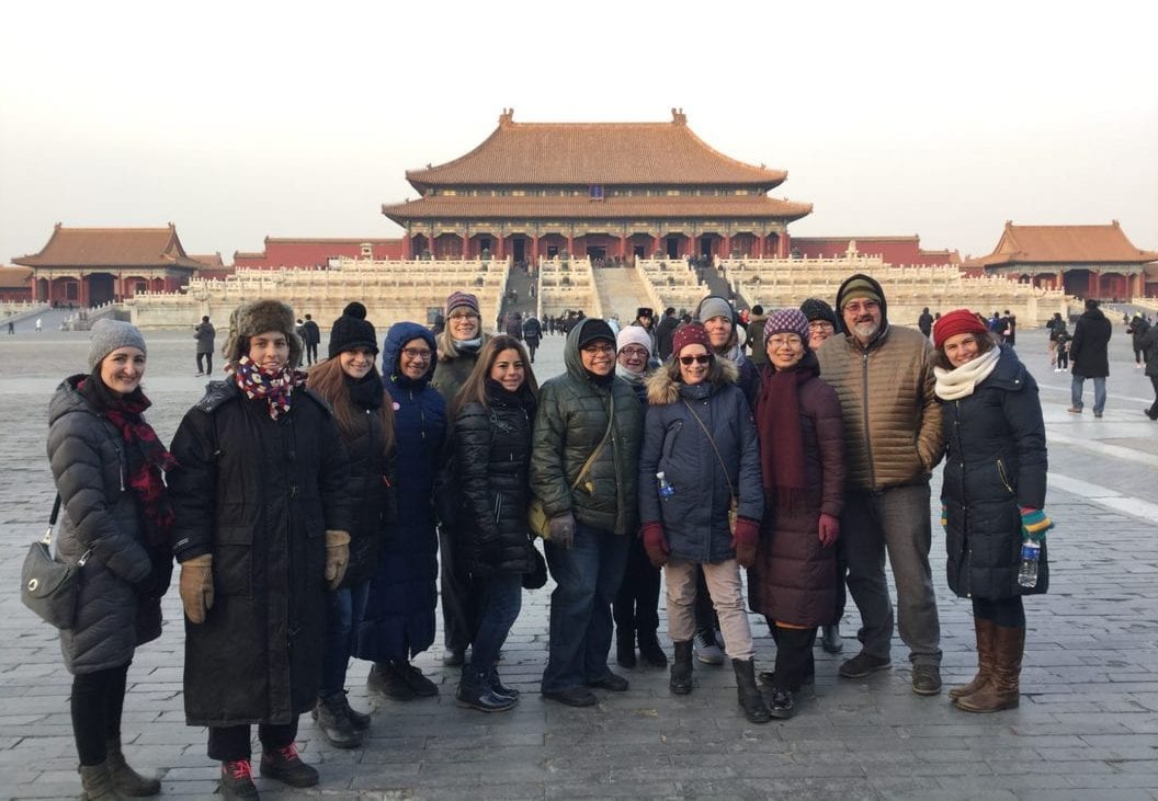 The Erikson Institute International Exchange Fellow Program