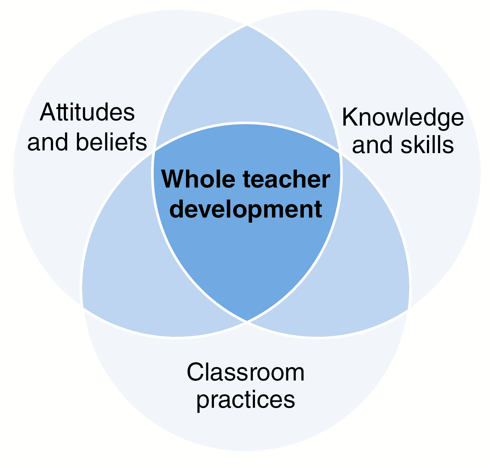 Approach diagram, showing the aspects of whole teacher development