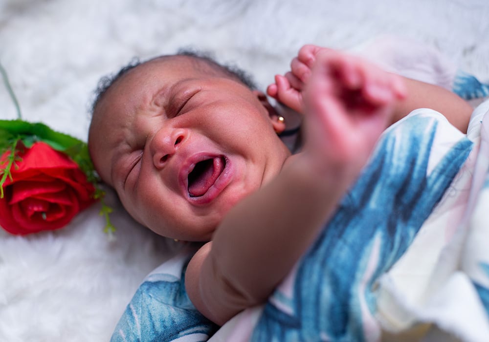 fussy-baby-network-parent-support-for-fussy-infants-erikson-institute