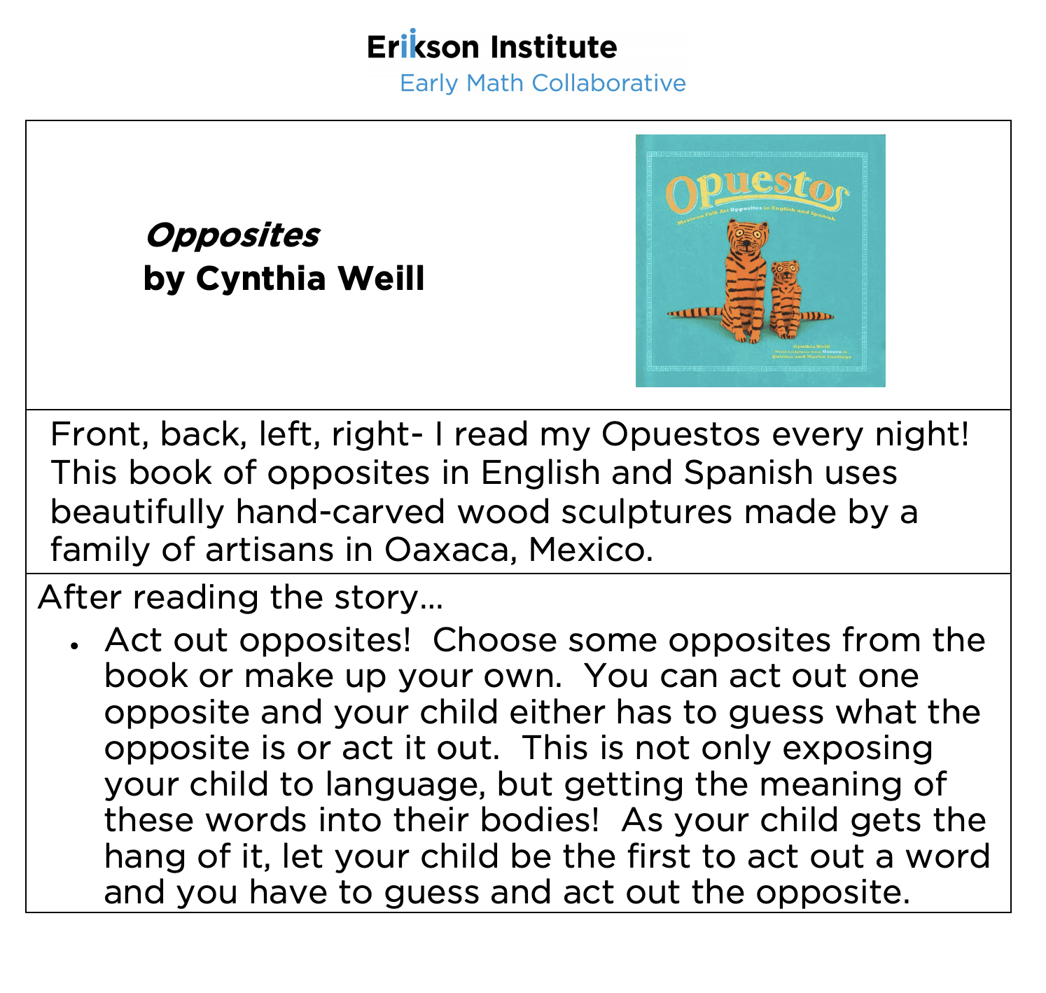 fun activities at home sets and sorting books opposites